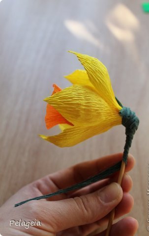 Нарциссы из гофрированной бумаги !
