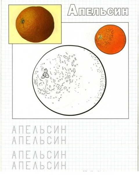 Учимся писать. фрукты.