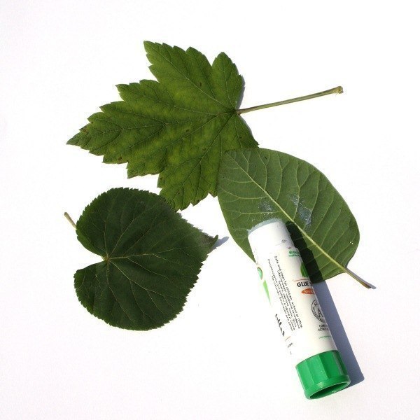 Рисуем в технике «фроттаж» Рисуем в технике «фроттаж»