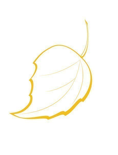 Красивые шаблоны осенних листьев для творчества