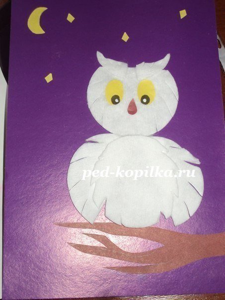 Поделки с детьми из ватных дисков Поделки с детьми из ватных дисков