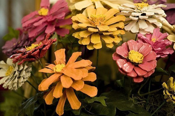 Осенние поделки из шишек ✂✏ Осенние поделки из шишек ✂✏