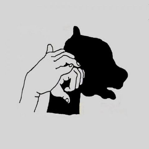 Театр теней. сохраните себе и поиграйте с детками!