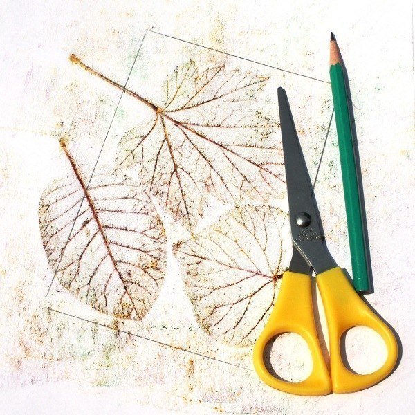 Рисуем в технике «фроттаж» Рисуем в технике «фроттаж»