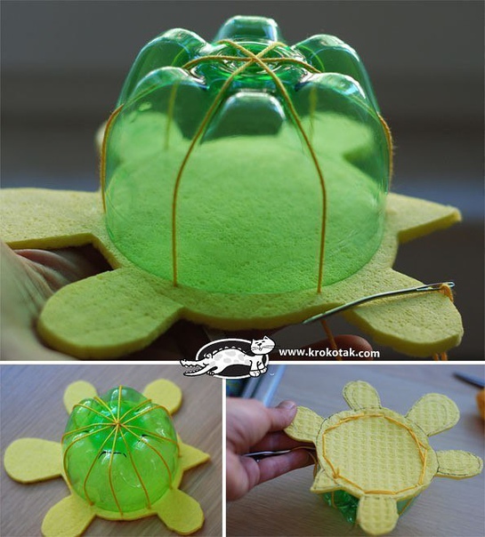 Черепашка-хранилка Черепашка-хранилка