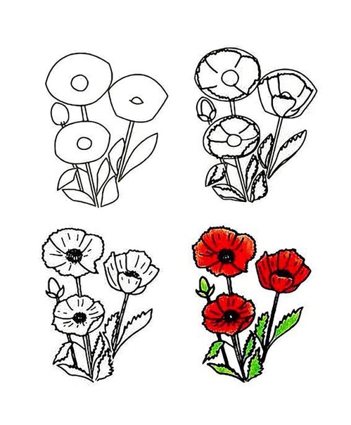 Рисуем цветы Рисуем цветы