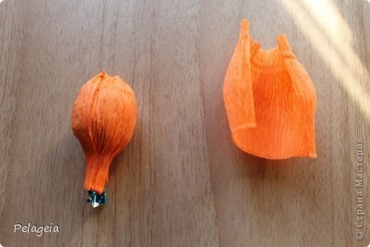 Нарциссы из гофрированной бумаги !