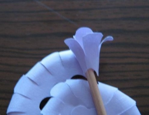 Дельфиниумы. цветы из бумаги.