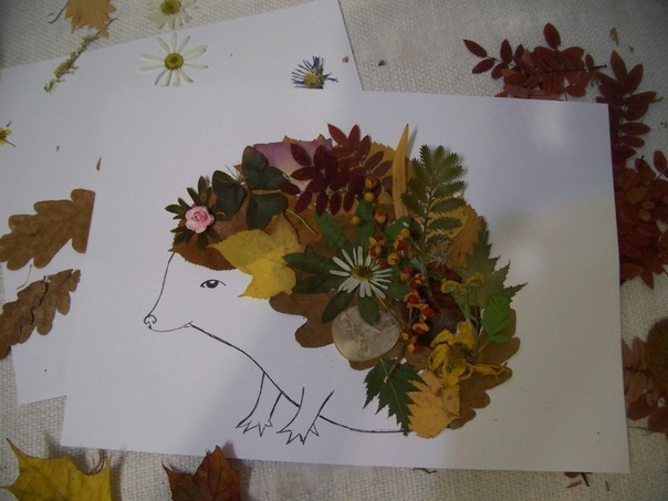 Гербарий Гербарий