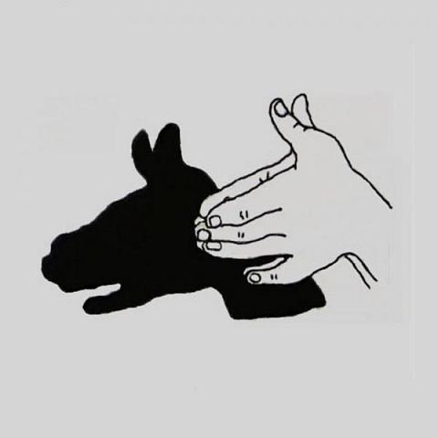 Театр теней. сохраните себе и поиграйте с детками!