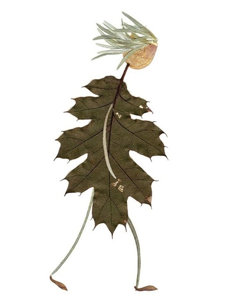 Идеи поделок из природных материалов Идеи поделок из природных материалов