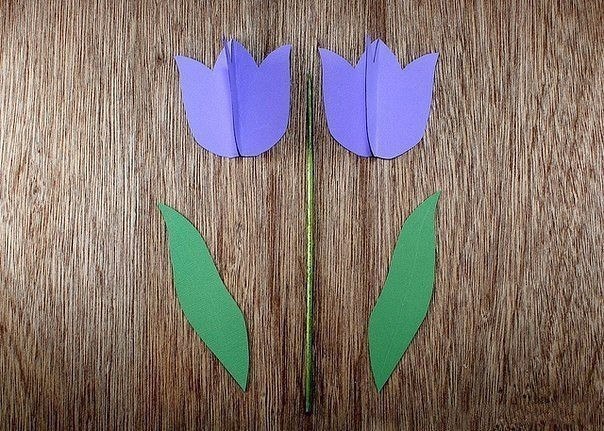 Тюльпаны из цветного картона Тюльпаны из цветного картона