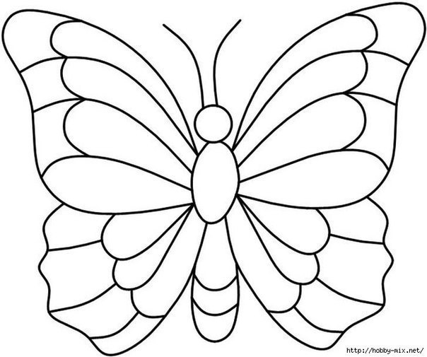 Бабочки из пластилина + шаблоны