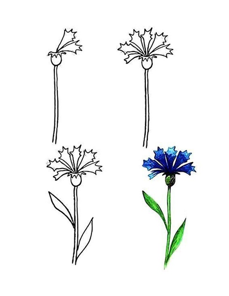 Рисуем цветы Рисуем цветы