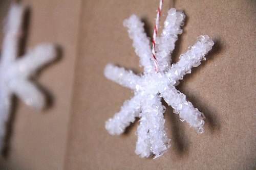 Выращиваем снежинку из кристаллов соли 
