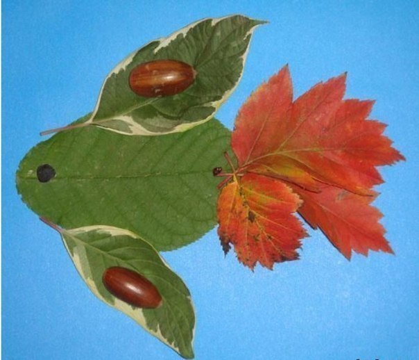 Аппликация из листьев Аппликация из листьев