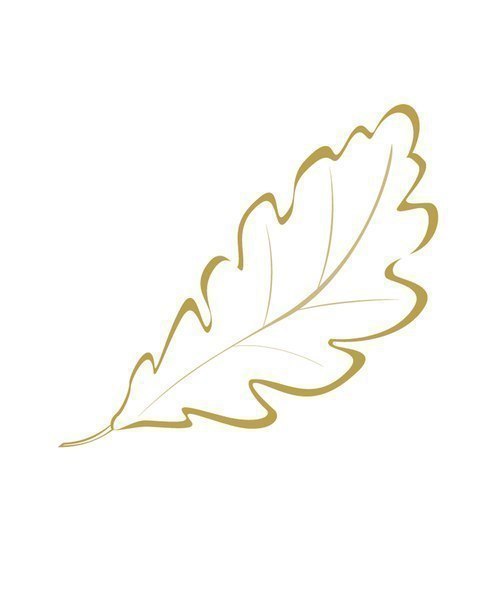 Красивые шаблоны осенних листьев для творчества