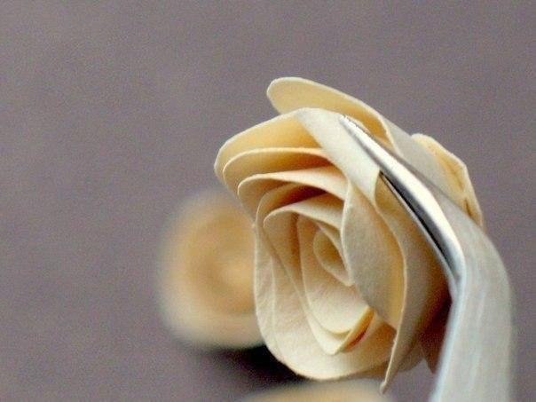 Объемные розы из бумаги для открыток Объемные розы из бумаги для открыток