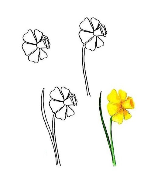 Рисуем цветы Рисуем цветы