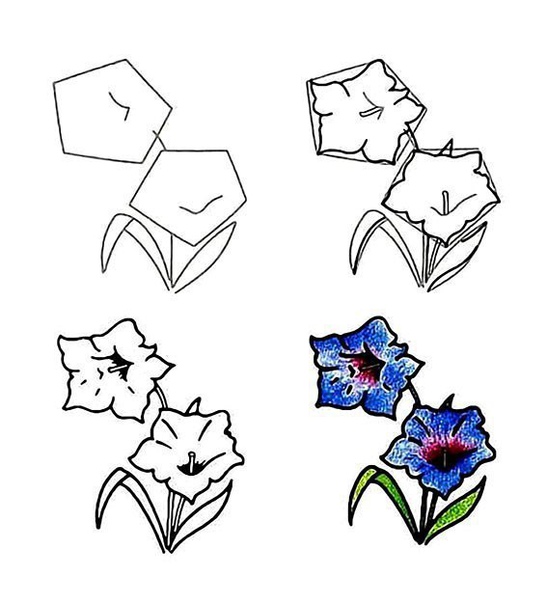 Рисуем цветы Рисуем цветы