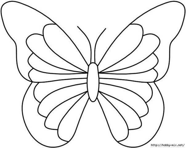 Бабочки из пластилина + шаблоны Бабочки из пластилина + шаблоны