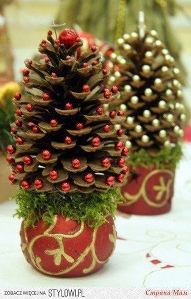 Ёлочки из шишек Ёлочки из шишек