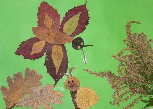 Аппликация из листьев Аппликация из листьев
