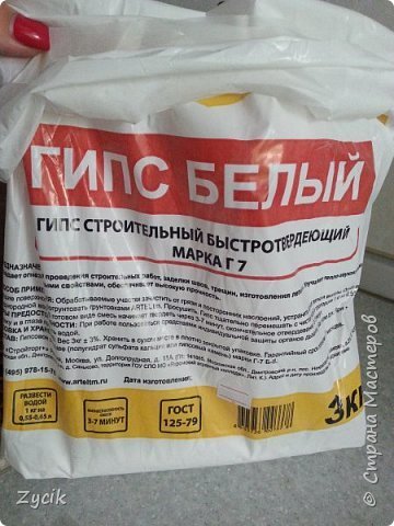 Грибы из гипса