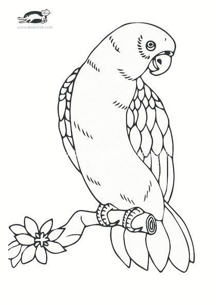 Аппликация-гербарий