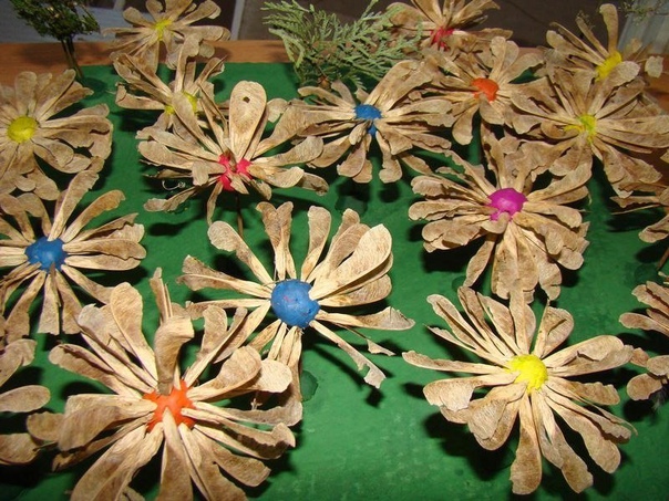 Занимаемся вместе с детками. поделки из круп и семян.