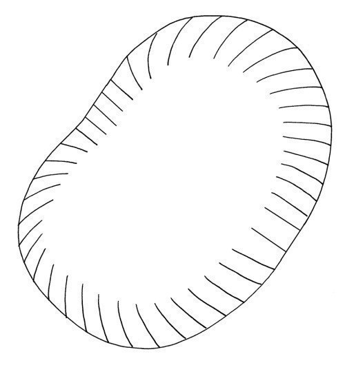 Объемная поделка "ёжик в листве" Объемная поделка "ёжик в листве"