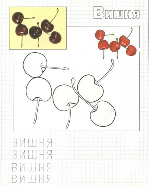 Учимся писать. фрукты.