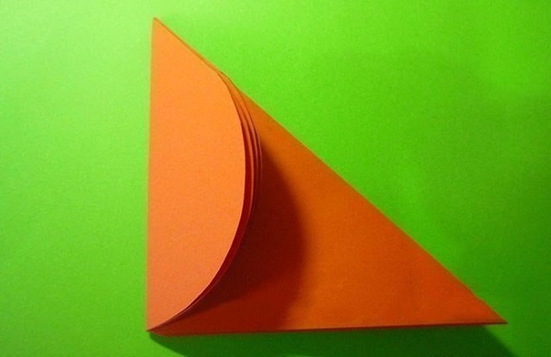 Божьи коровки