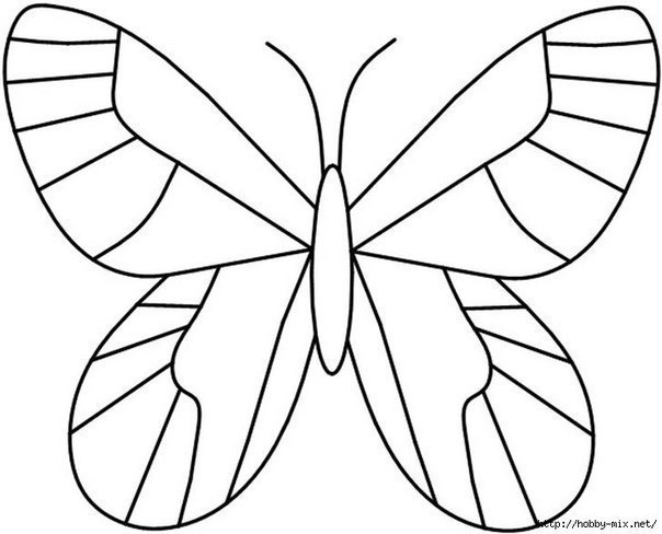 Бабочки из пластилина + шаблоны