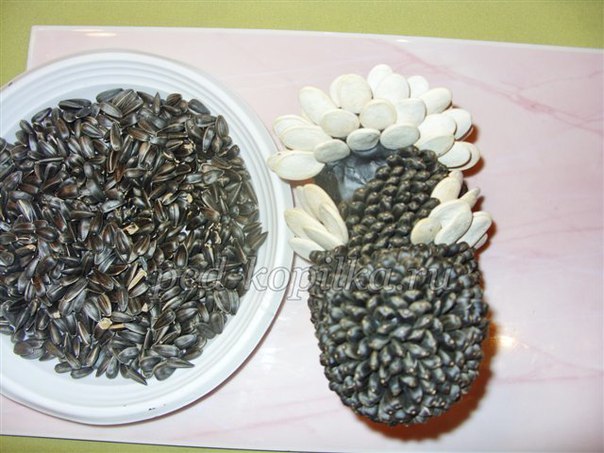 Птичка из семечек Птичка из семечек