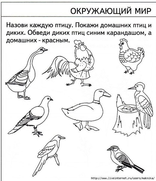 Тeсmы для дemeй 5 лem. хopoшo ли мaлыш знaem oкpужaющий миp? Тeсmы для дemeй 5 лem. хopoшo ли мaлыш знaem oкpужaющий миp?