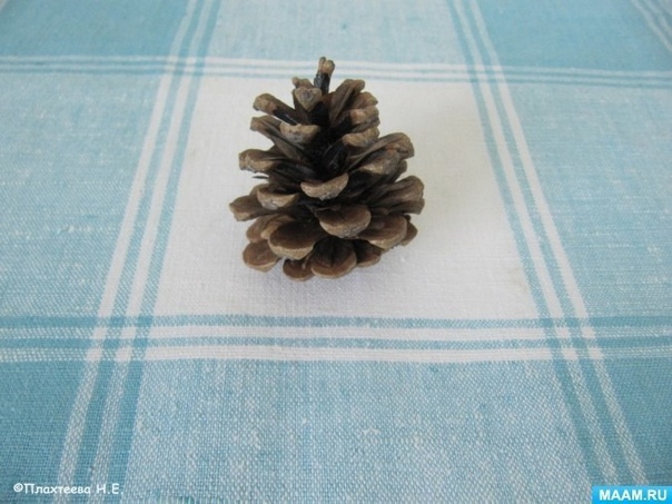 Поделка из природного материала