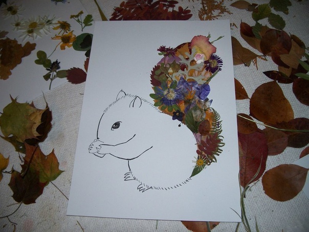 Гербарий Гербарий