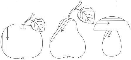 Обведи и заштрихуй Обведи и заштрихуй