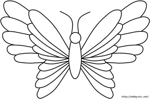 Бабочки из пластилина + шаблоны Бабочки из пластилина + шаблоны