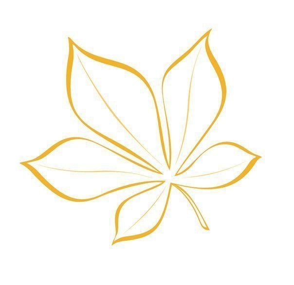 Красивые шаблоны осенних листьев для творчества