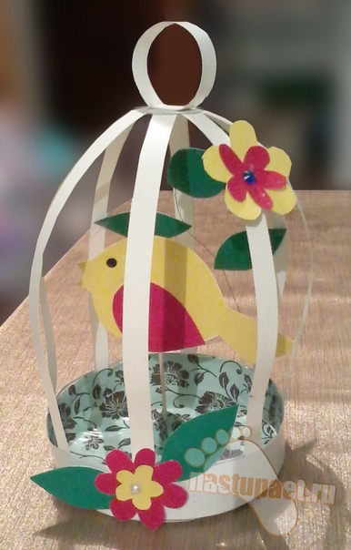 Птичка в клетке