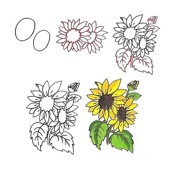 Рисуем цветы Рисуем цветы