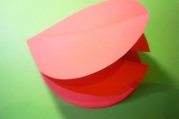 Божьи коровки