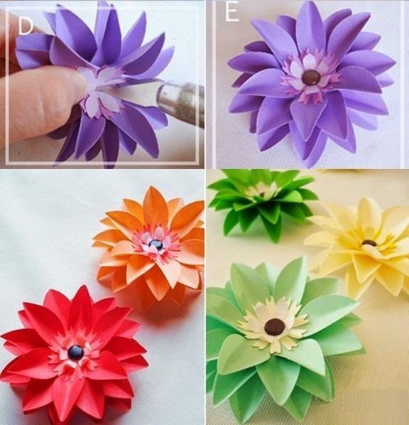 Красивые цветы