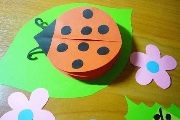 Божьи коровки