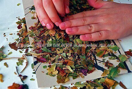 Аппликация "дерево" из крошки сухих листьев Аппликация "дерево" из крошки сухих листьев