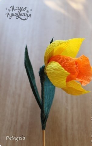Нарциссы из гофрированной бумаги !