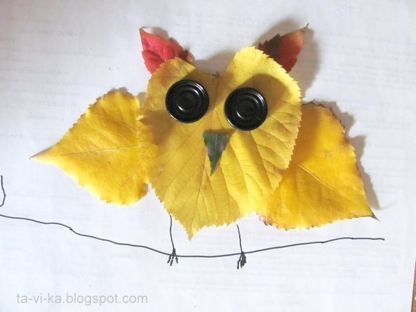 Аппликации из листьев Аппликации из листьев