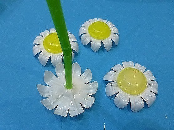 Ромашки из бутылки Ромашки из бутылки